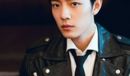 娱乐圈吃瓜爆料博主肖战,娱乐圈风云再起，吃瓜爆料揭秘幕后真相